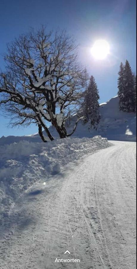 Haus Meikl Mühlbach am Hochkönig Exteriör bild